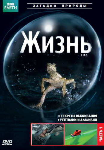 BBC: Жизнь (2009) смотреть онлайн