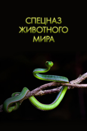 Спецназ животного мира (2018) смотреть онлайн